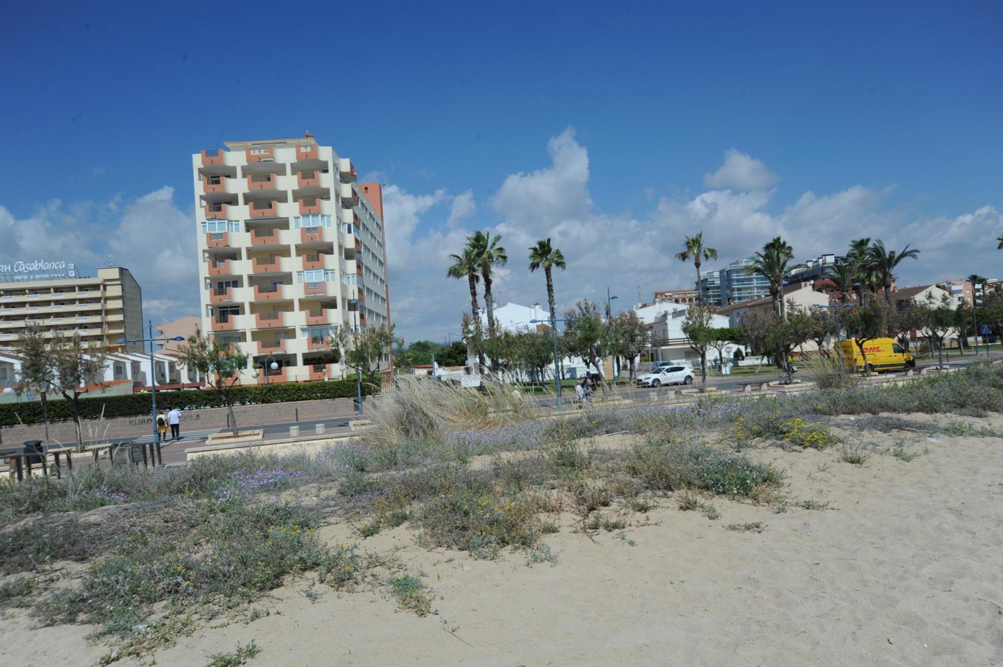Europeniscola Superior Orangecosta Apartment Ngoại thất bức ảnh